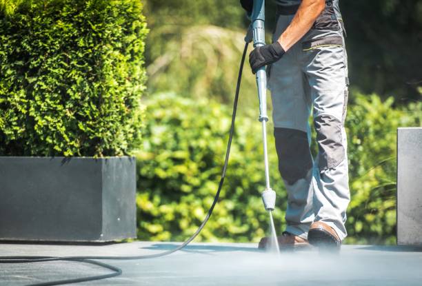 Animal Enclosure Cleaning in East Washington, PA