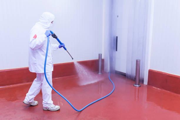Best House Exterior Washing  in East Washington, PA